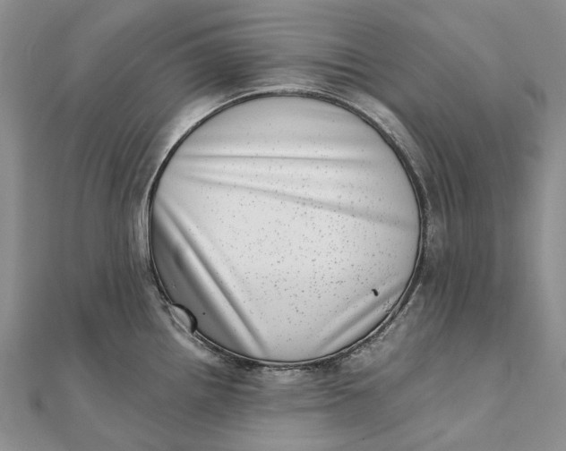 X0000111921242200908101214