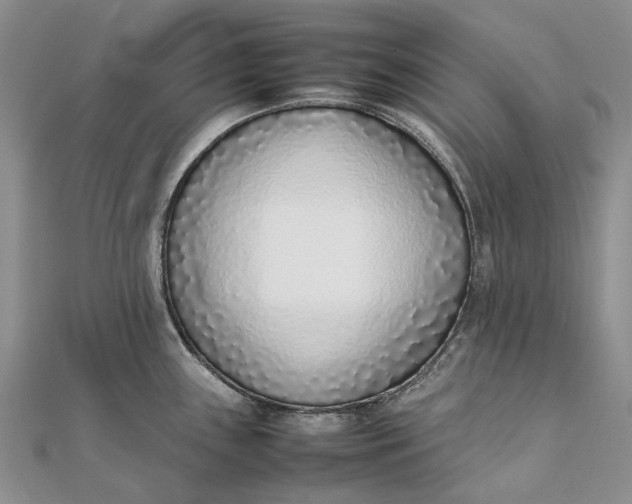 X0000111921243200908101214