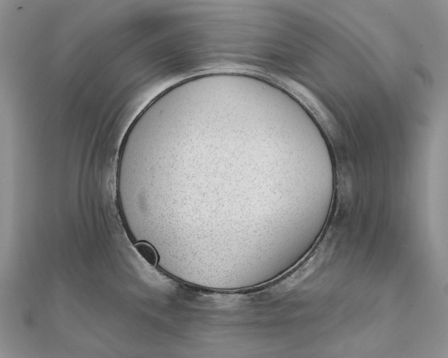 X0000111921244200908101215