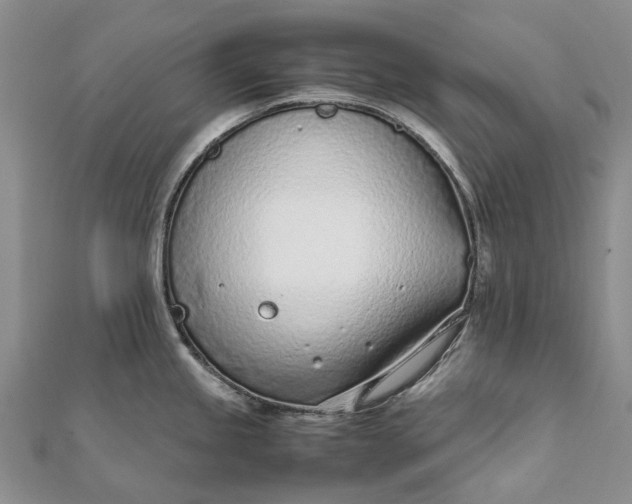 X0000111921245200908101215