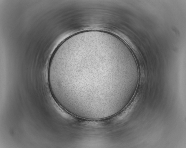 X0000111921246200908101215