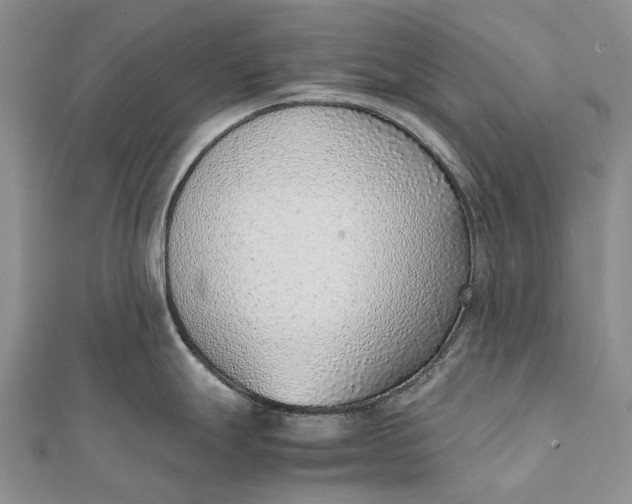 X0000111921247200908101215