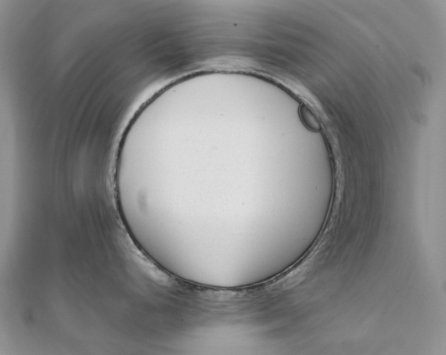 X0000111921248200908101215