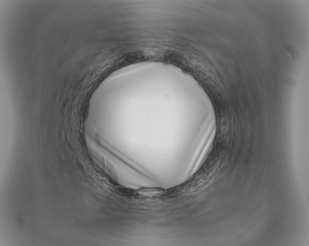 X0000111921249200908101214