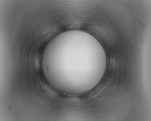 X0000111921250200908101214