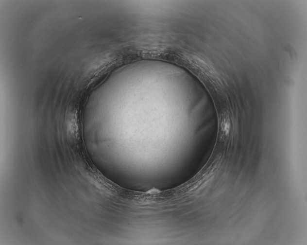 X0000111921252200908101214