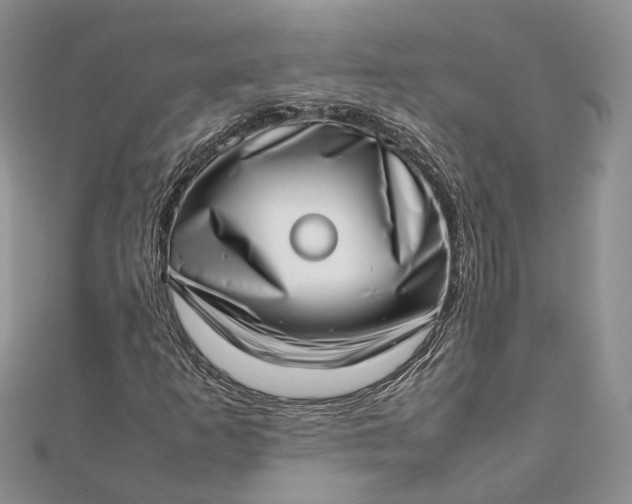 X0000111921253200908101214