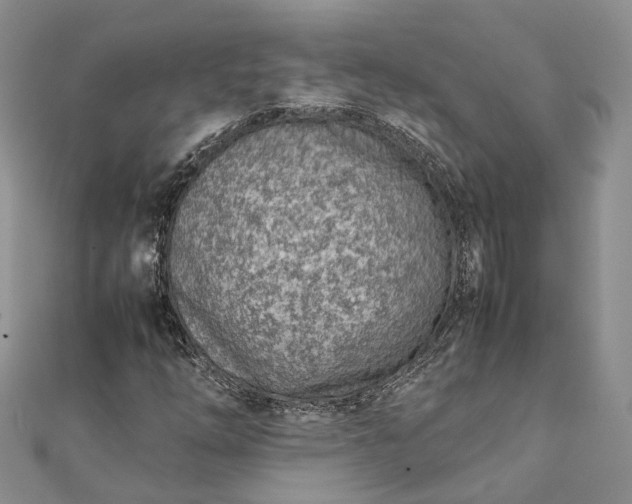 X0000111921254200908101214