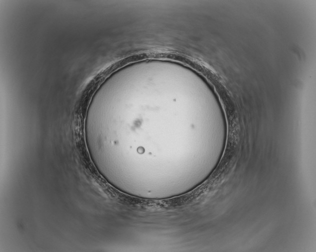 X0000111921255200908101214