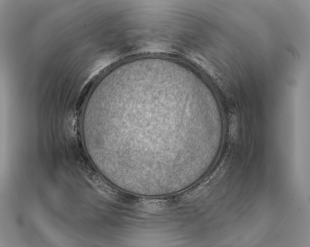 X0000111921258200908101214