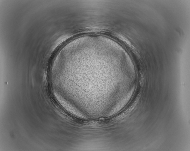 X0000111921259200908101214