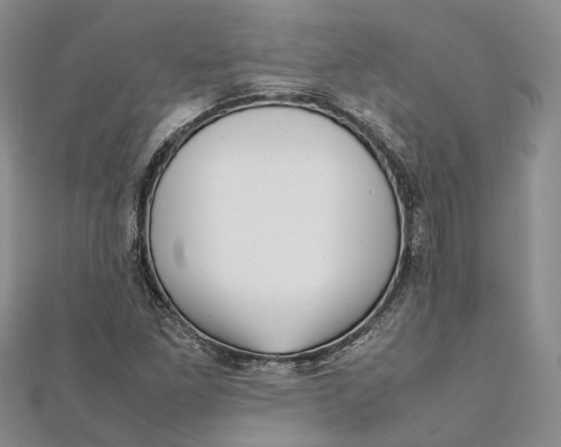 X0000111921261200908101214