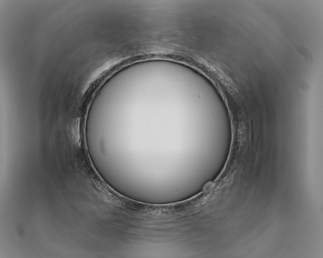 X0000111921262200908101214