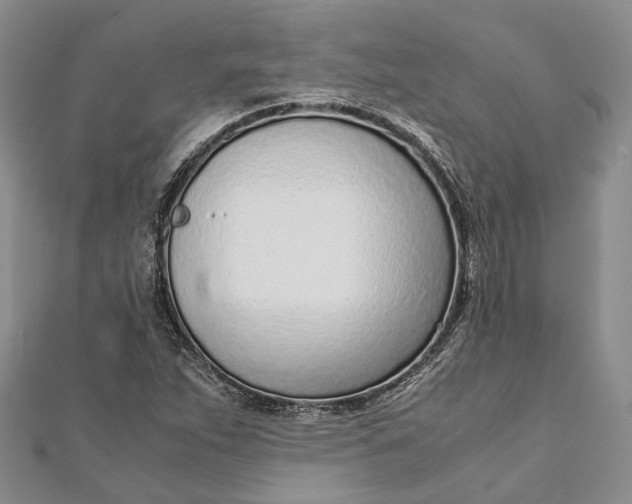 X0000111921263200908101214