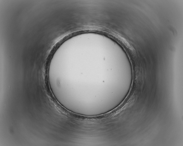 X0000111921264200908101214