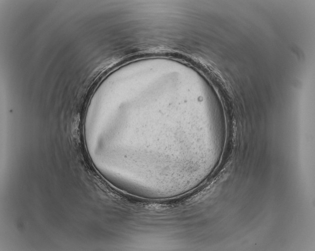 X0000111921265200908101214