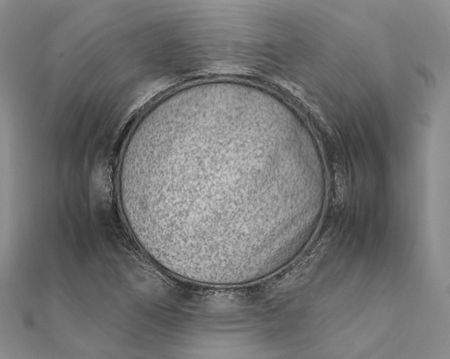 X0000111921266200908101214