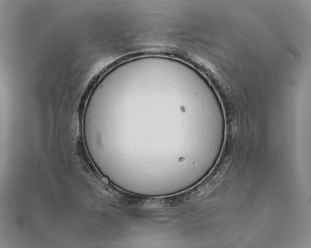 X0000111921267200908101214