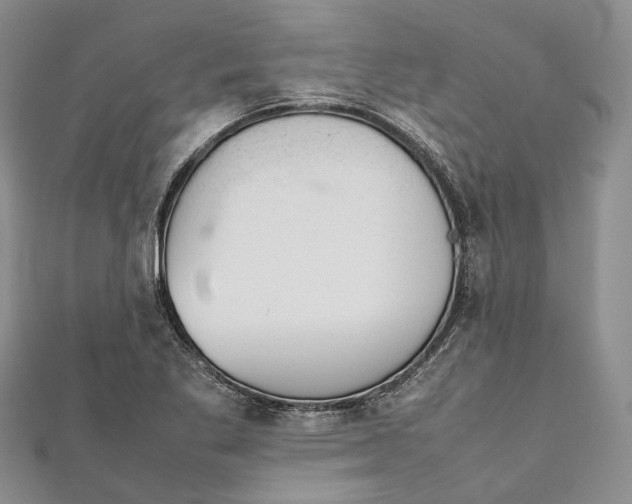 X0000111921269200908101214