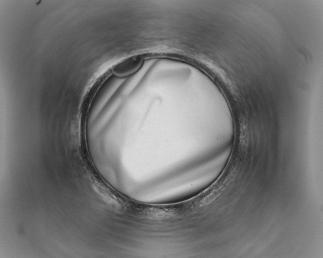 X0000111921270200908101214