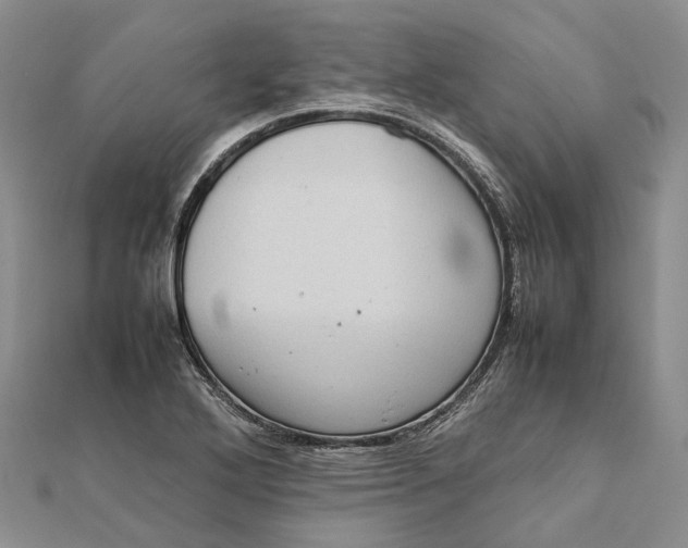 X0000111921272200908101214