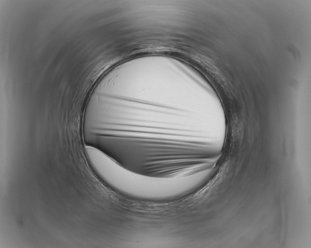 X0000111921273200908101214