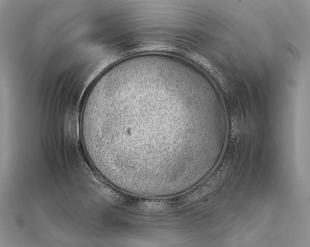 X0000111921274200908101214