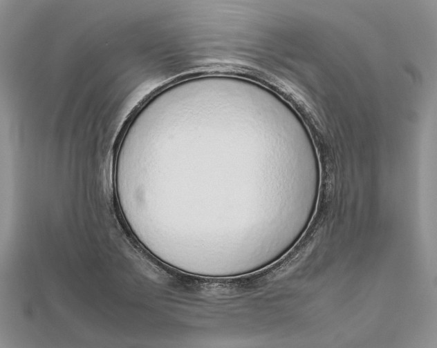 X0000111921275200908101214