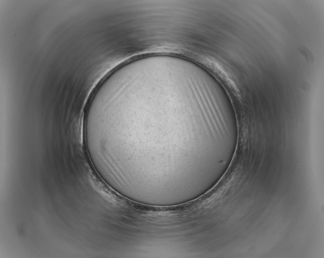 X0000111921276200908101214