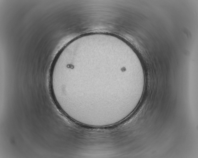 X0000111921277200908101214