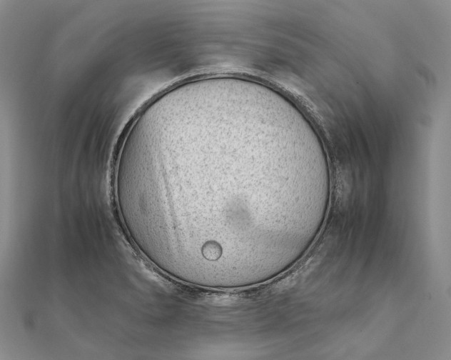 X0000111921278200908101214