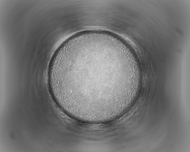 X0000111921279200908101214