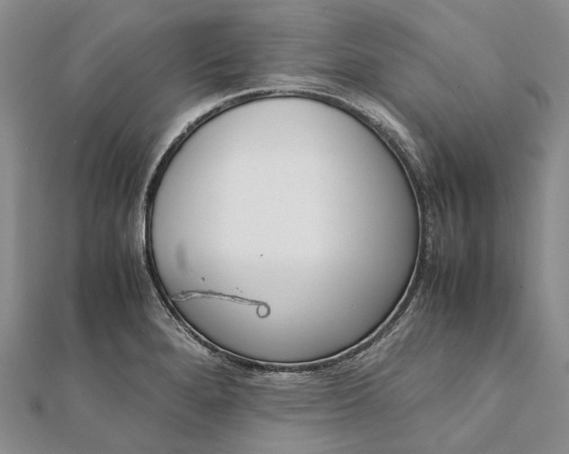 X0000111921280200908101214