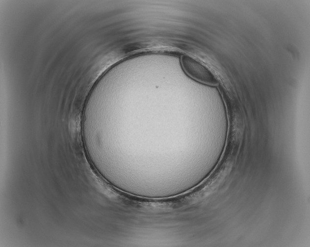 X0000111921281200908101214