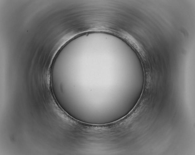 X0000111921284200908101213