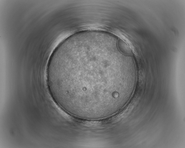 X0000111921285200908101213