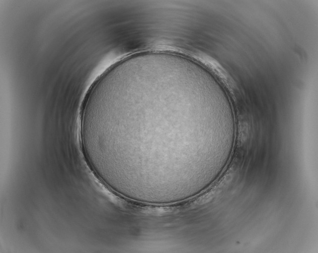 X0000111921286200908101213