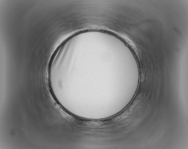 X0000111921287200908101213