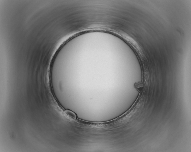 X0000111921288200908101213