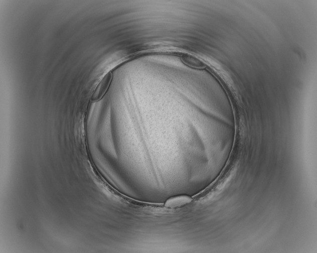 X0000111921289200908101213