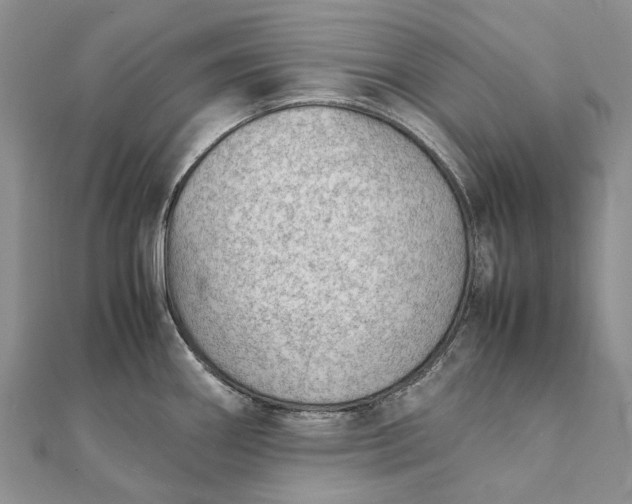 X0000111921290200908101213