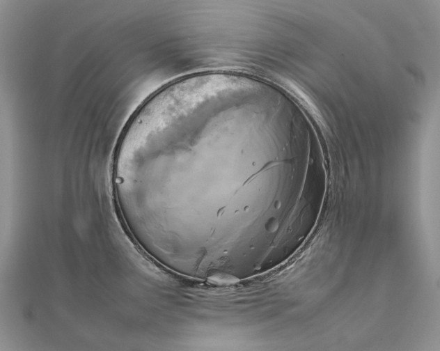 X0000111921291200908101213