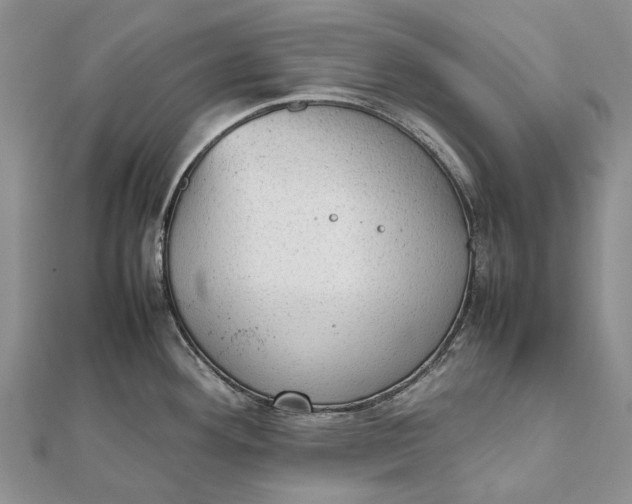 X0000111921292200908101213