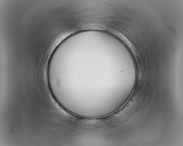 X0000111921293200908101213