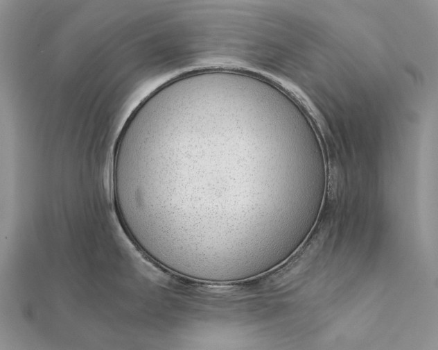 X0000111921295200908101213