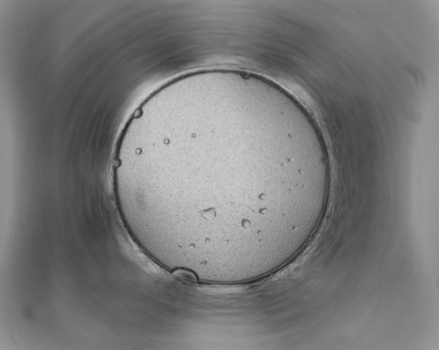 X0000111921296200908101213