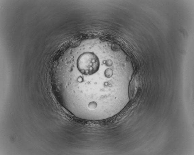 X0000111921297200908101213