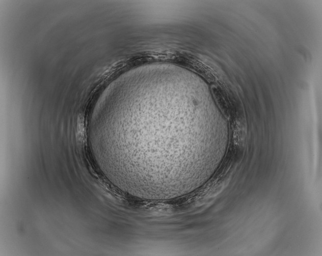 X0000111921298200908101213