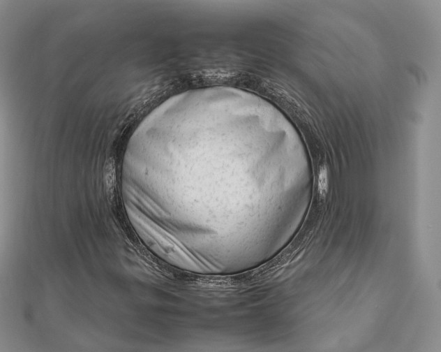 X0000111921299200908101213