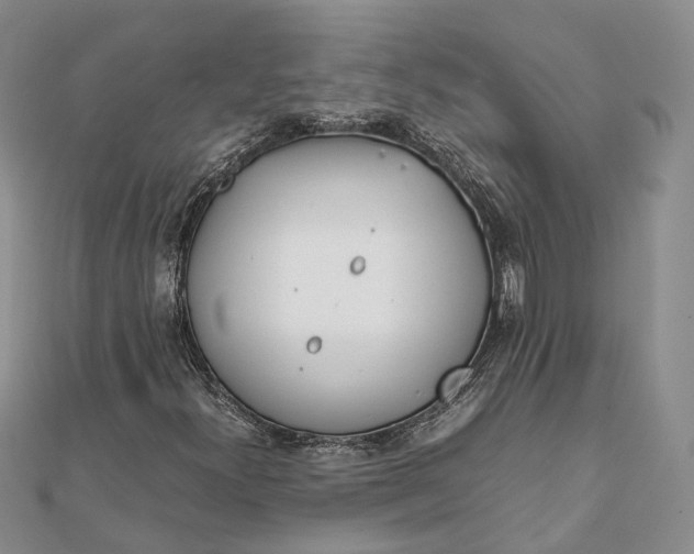 X0000111921300200908101213